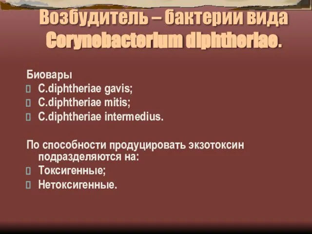 Возбудитель – бактерии вида Corynebacterium diphtheriae. Биовары C.diphtheriae gavis; C.diphtheriae mitis; C.diphtheriae