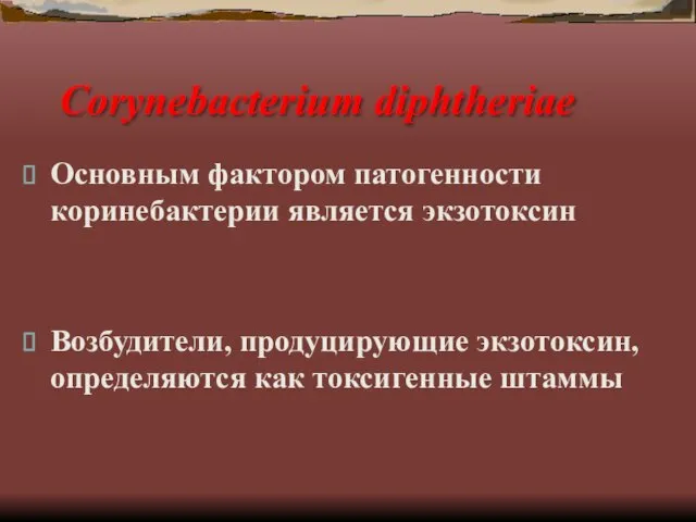 Corynebacterium diphtheriae Основным фактором патогенности коринебактерии является экзотоксин Возбудители, продуцирующие экзотоксин, определяются как токсигенные штаммы