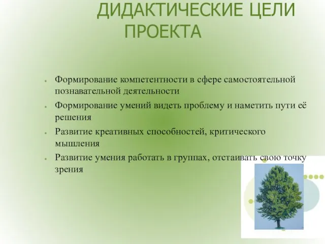 ДИДАКТИЧЕСКИЕ ЦЕЛИ ПРОЕКТА Формирование компетентности в сфере самостоятельной познавательной деятельности Формирование умений