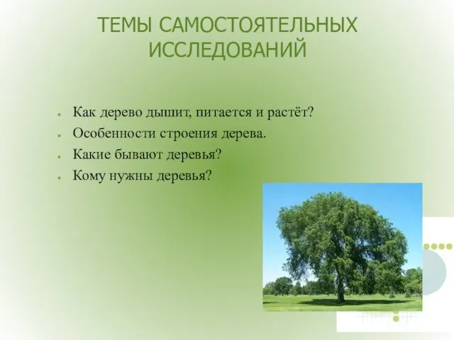 ТЕМЫ САМОСТОЯТЕЛЬНЫХ ИССЛЕДОВАНИЙ Как дерево дышит, питается и растёт? Особенности строения дерева.