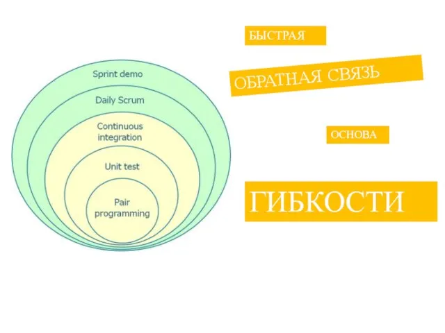 ОБРАТНАЯ СВЯЗЬ БЫСТРАЯ ОСНОВА ГИБКОСТИ