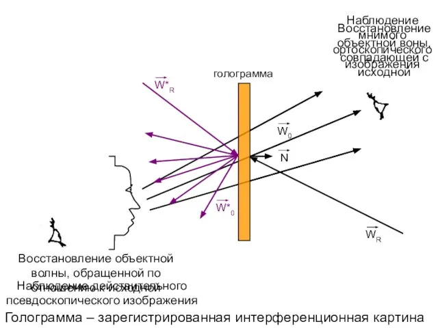 голограмма Голограмма – зарегистрированная интерференционная картина Восстановление объектной воны, совпадающей с исходной