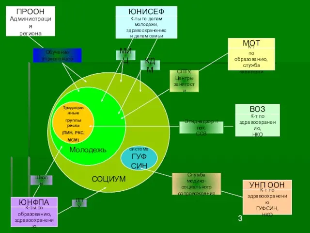 СОЦИУМ Молодежь Традиционные группы риска (ПИН, РКС, МСМ) система ГУФСИН ПРООН Администрация