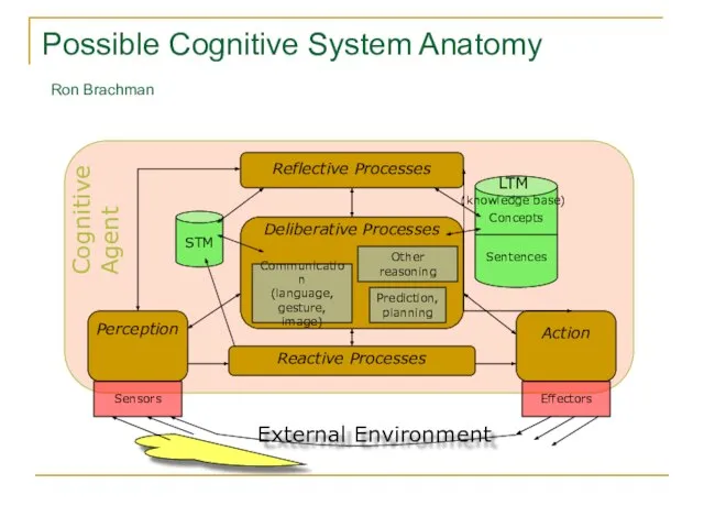 Possible Cognitive System Anatomy Ron Brachman External Environment Communication (language, gesture, image)