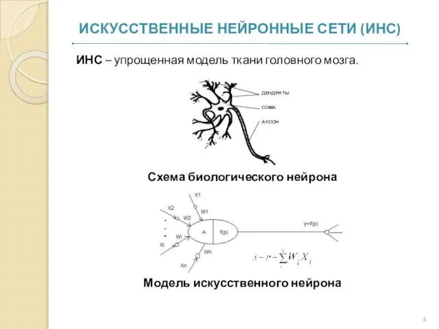 ИНС – упрощенная модель ткани головного мозга. Схема биологического нейрона Модель искусственного