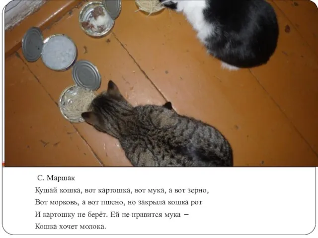 С. Маршак Кушай кошка, вот картошка, вот мука, а вот зерно, Вот