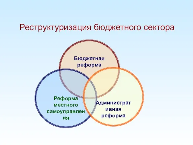 Бюджетная реформа Реформа местного самоуправления Административная реформа Реструктуризация бюджетного сектора