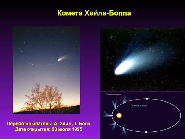 Комета Хейла-Боппа Первооткрыватель: А. Хейл, Т. Бопп Дата открытия: 23 июля 1995