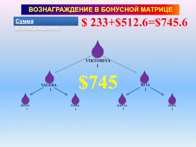 Сумма вознаграждения: $ 233 SENYA 1 TOMA 1 KATYA 1 VIKTORIYA 1