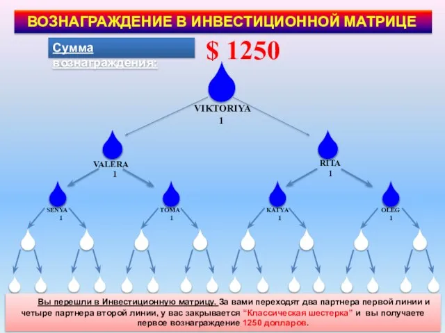 Сумма вознаграждения: $ 1250 SENYA 1 TOMA 1 KATYA 1 VIKTORIYA 1