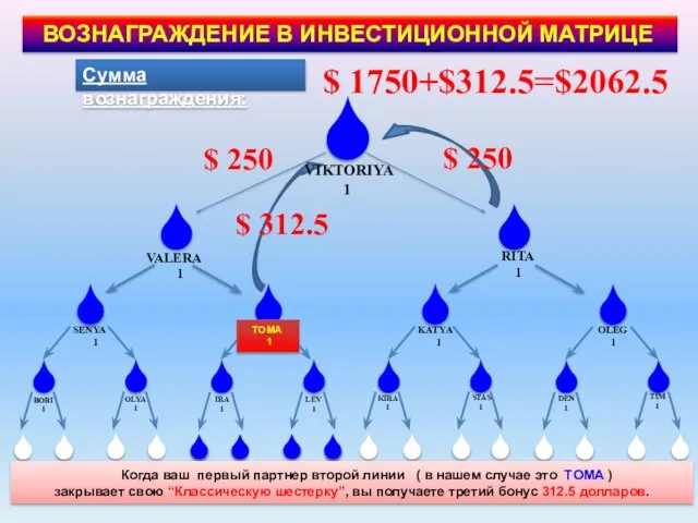 $ 250 $ 250 $ 312.5 Сумма вознаграждения: $ 1750+$312.5=$2062.5 BOBI 1