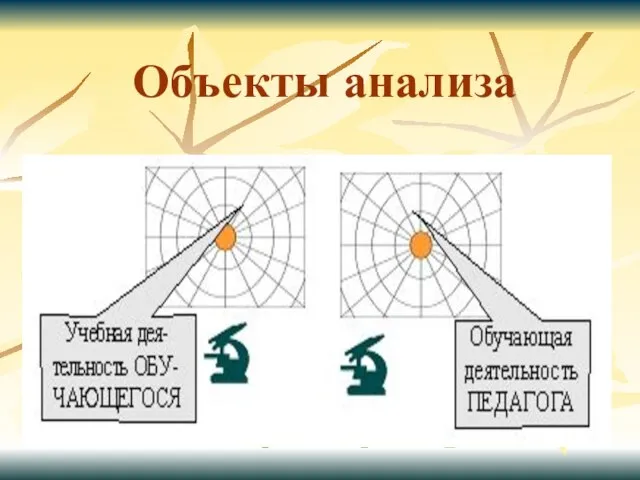 Объекты анализа