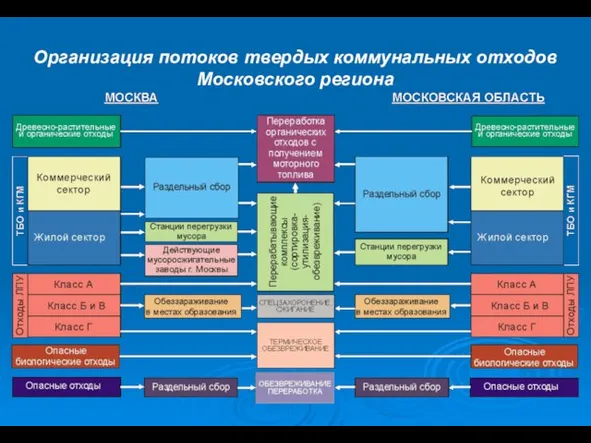 Организация потоков твердых коммунальных отходов Московского региона