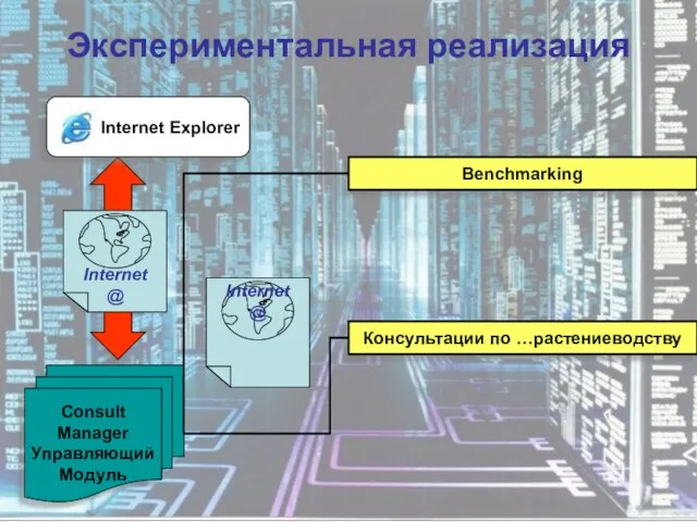 Экспериментальная реализация Consult Manager Управляющий Модуль Internet @ Benchmarking Консультации по …растениеводству Internet @ Internet Explorer