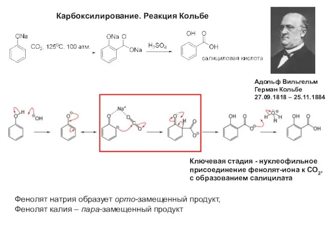 Карбоксилирование. Реакция Кольбе Адольф Вильгельм Герман Кольбе 27.09.1818 – 25.11.1884 Ключевая стадия