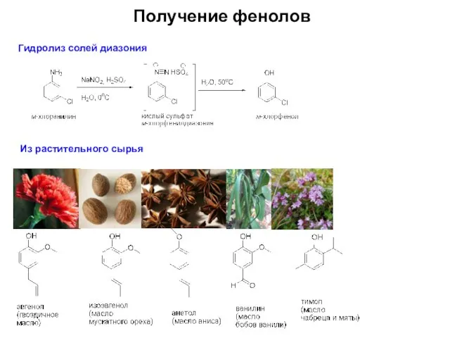 Получение фенолов Гидролиз солей диазония Из растительного сырья