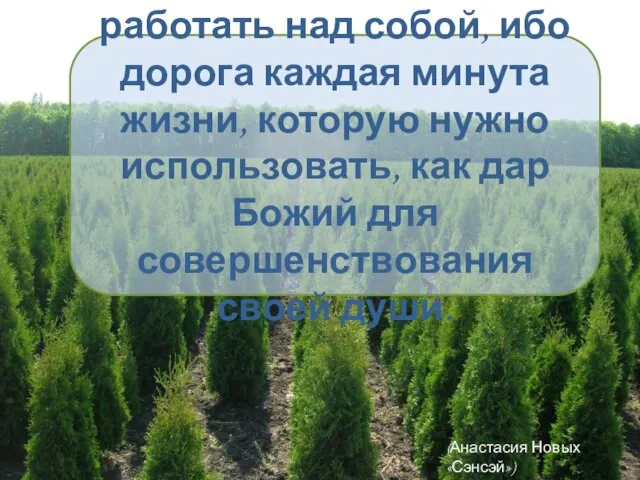 Нужно постоянно работать над собой, ибо дорога каждая минута жизни, которую нужно