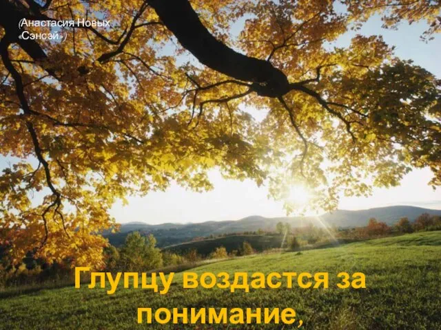 Глупцу воздастся за понимание, а умному глупо не понять. (Анастасия Новых «Сэнсэй»)