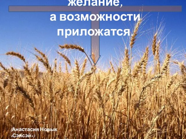 Главное — иметь большое желание, а возможности приложатся. (Анастасия Новых «Сэнсэй»)