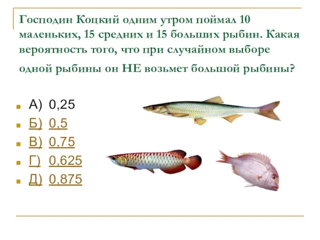 Господин Коцкий одним утром поймал 10 маленьких, 15 средних и 15 больших