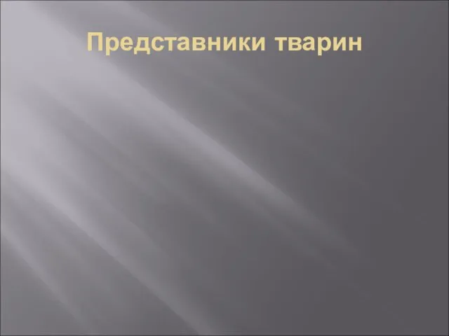 Представники тварин