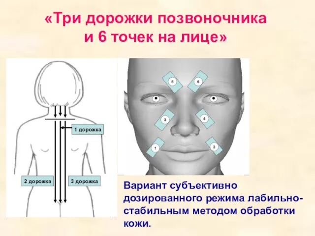 «Три дорожки позвоночника и 6 точек на лице» Вариант субъективно дозированного режима лабильно-стабильным методом обработки кожи.