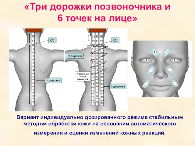 «Три дорожки позвоночника и 6 точек на лице» Вариант индивидуально дозированного режима