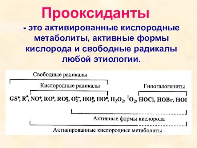 Прооксиданты - это активированные кислородные метаболиты, активные формы кислорода и свободные радикалы любой этиологии.