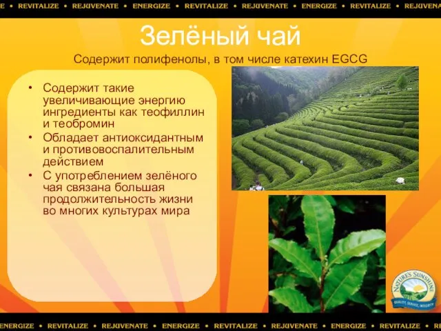 Зелёный чай Cодержит полифенолы, в том числе катехин EGCG Содержит такие увеличивающие