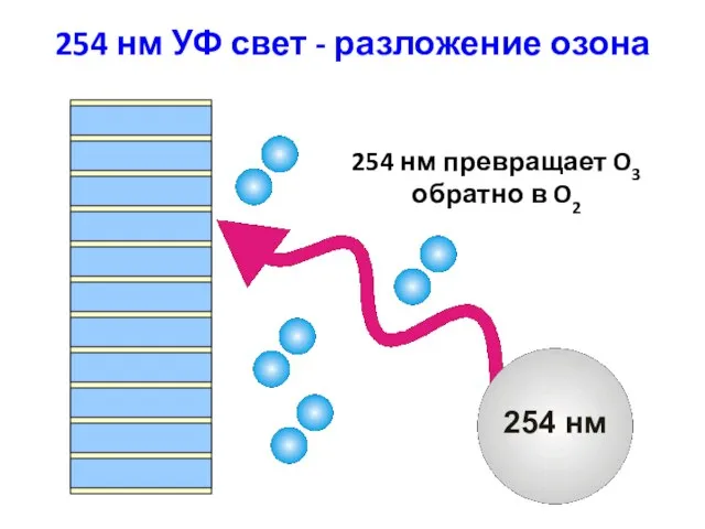 254 нм УФ свет - разложение озона 254 нм 254 нм превращает O3 обратно в O2