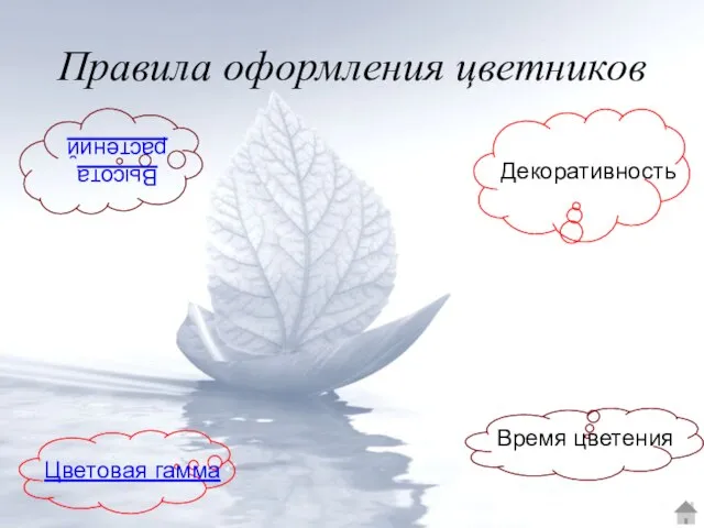 Правила оформления цветников Высота растений Декоративность Цветовая гамма Время цветения