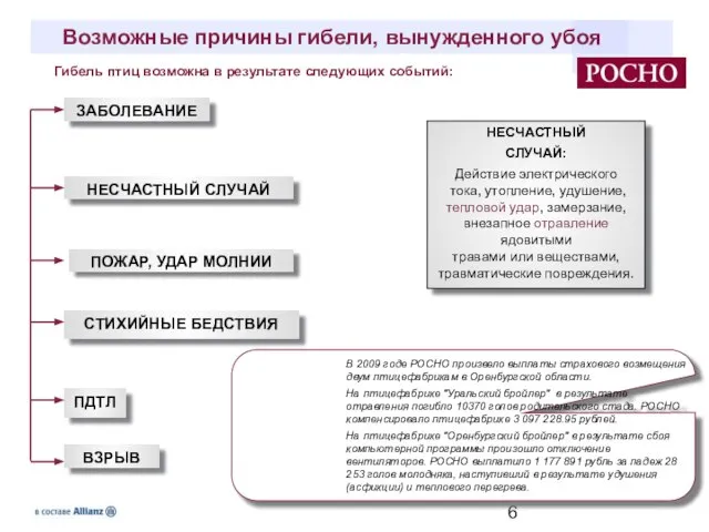 Возможные причины гибели, вынужденного убоя СТИХИЙНЫЕ БЕДСТВИЯ ЗАБОЛЕВАНИЕ НЕСЧАСТНЫЙ СЛУЧАЙ: Действие электрического