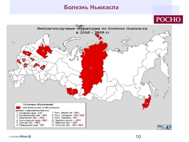 Болезнь Ньюкасла