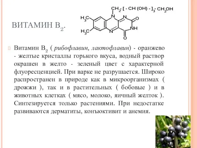 ВИТАМИН В2. Витамин В2 ( рибофлавин, лактофлавин) - оранжево - желтые кристаллы