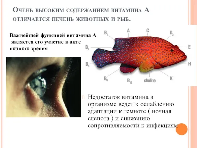 Очень высоким содержанием витамина А отличается печень животных и рыб. Недостаток витамина