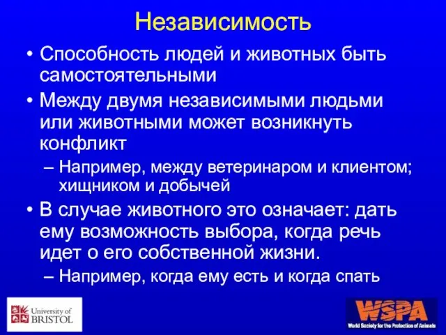 Независимость Способность людей и животных быть самостоятельными Между двумя независимыми людьми или