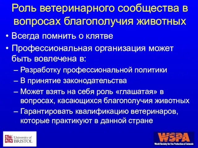 Роль ветеринарного сообщества в вопросах благополучия животных Всегда помнить о клятве Профессиональная