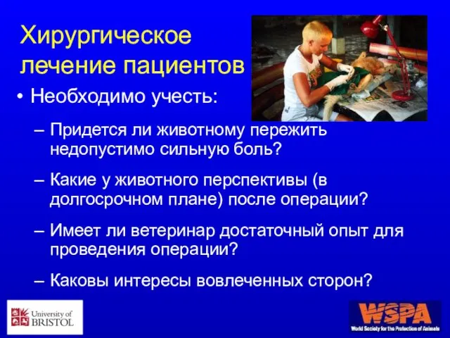 Хирургическое лечение пациентов Необходимо учесть: Придется ли животному пережить недопустимо сильную боль?