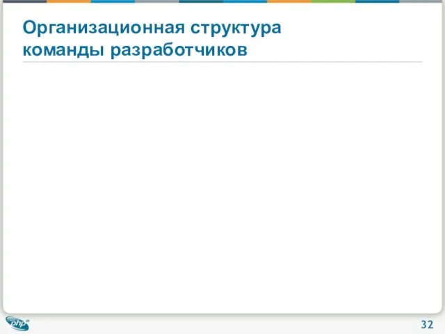 Организационная структура команды разработчиков