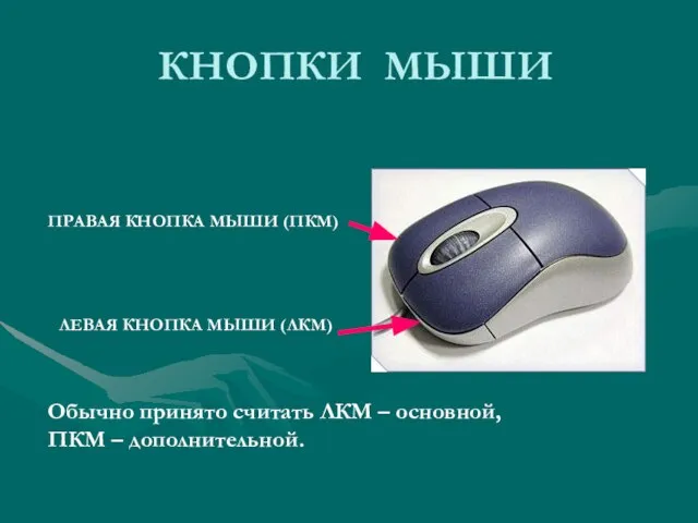 КНОПКИ МЫШИ ПРАВАЯ КНОПКА МЫШИ (ПКМ) ЛЕВАЯ КНОПКА МЫШИ (ЛКМ) Обычно принято