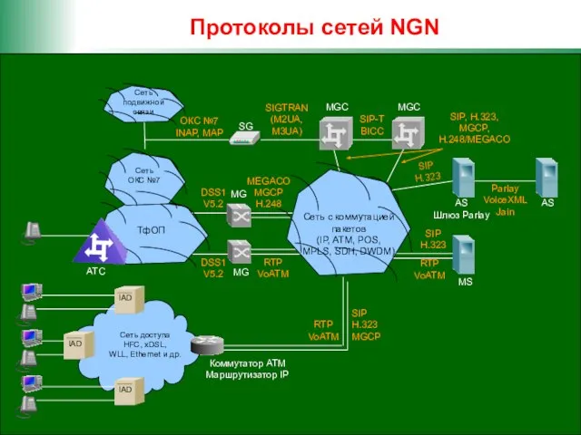 Протоколы сетей NGN AS Шлюз Parlay MS Сеть доступа HFC, xDSL, WLL,