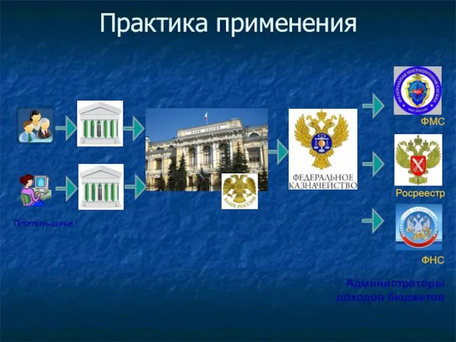 Практика применения Администраторы доходов бюджетов ФМС Росреестр ФНС Плательщики