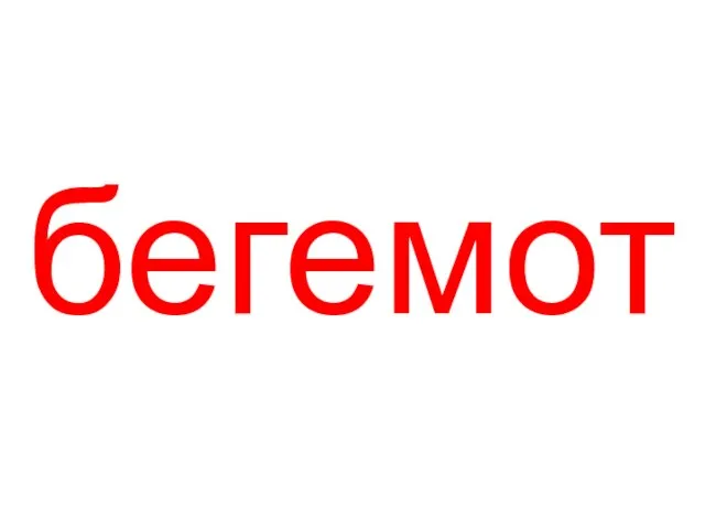 бегемот