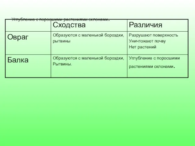 Углубление с поросшими растениями склонами.