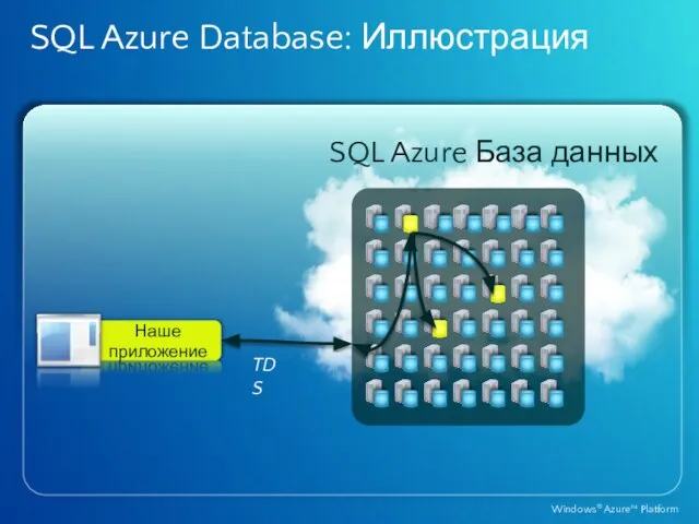 SQL Azure Database: Иллюстрация Наше приложение SQL Azure База данных TDS