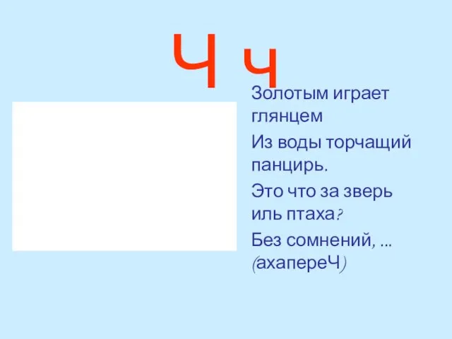 Ч ч Золотым играет глянцем Из воды торчащий панцирь. Это что за