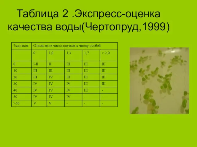 Таблица 2 .Экспресс-оценка качества воды(Чертопруд,1999)
