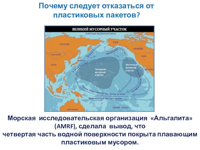 Морская исследовательская организация «Альгалита» (AMRF), сделала вывод, что четвертая часть водной поверхности