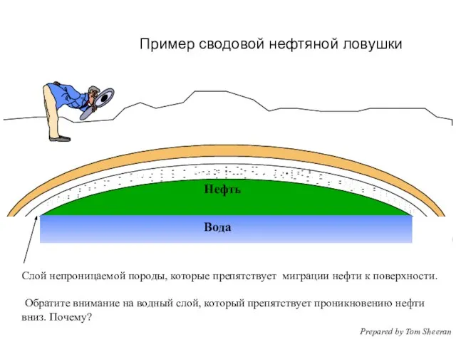 Нефть Пример сводовой нефтяной ловушки Слой непроницаемой породы, которые препятствует миграции нефти