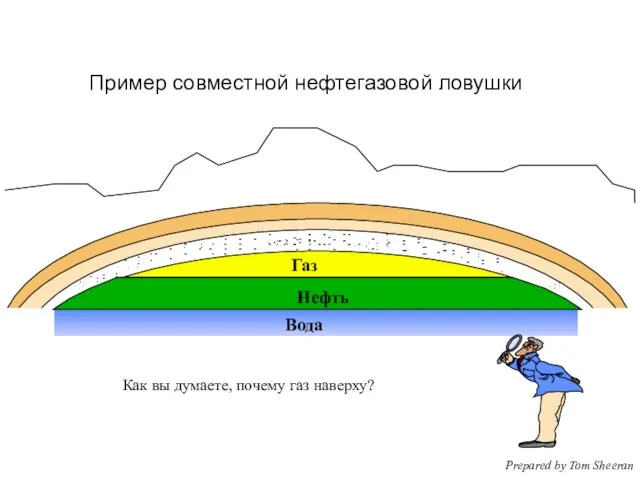 Газ Пример совместной нефтегазовой ловушки Нефть Как вы думаете, почему газ наверху? Prepared by Tom Sheeran